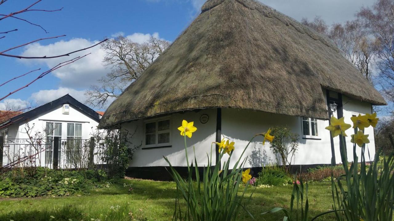 Frogs Hall B&B Eye  Eksteriør billede